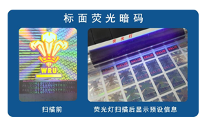 化学草莓视频二维码下载