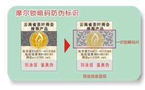 激光草莓视频二维码下载标签