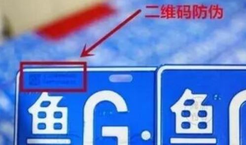 草莓视频二维码下载二维码.jpg
